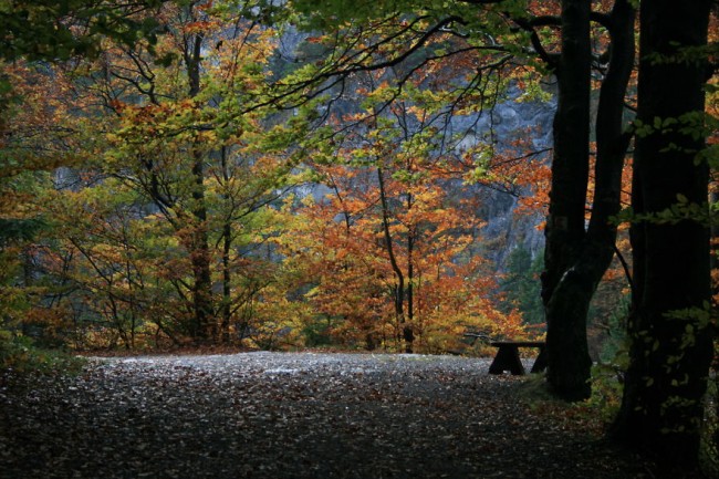 Kvacianska Dolina, Slovakia