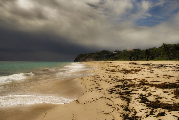 Νησιά Barbados   Kαραϊβική